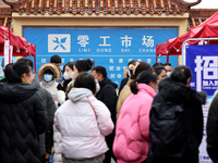 Job seekers are looking for suitable jobs at the 2024 job fair in Zaozhuang, East China's Shandong province, on January 17, 2024. (