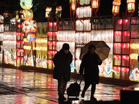 Tourists are viewing a lantern show in the rain at Bailu Zhou Park in Nanjing, China, on January 17, 2024. (