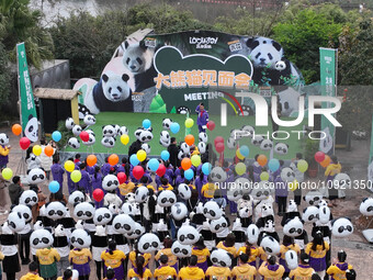 A giant panda meeting ceremony is taking place in Chongqing, China, on January 18, 2024. (