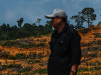 An environmentalism activist is investigating the eye-level view of a location in the Leuser Ecosystem forest area that has been converted i...