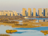 An urban ecological landscape is being showcased at Xishuanghu Wetland Park in Lianyungang, China, on January 23, 2024. (