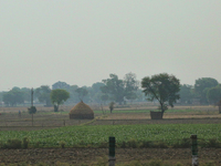 Thick smog is enveloping farmland in Greater Noida, Uttar Pradesh, India, on May 3, 2022. (