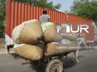 A horse cart is being loaded with goods in Agra, Uttar Pradesh, India, on May 3, 2022. (