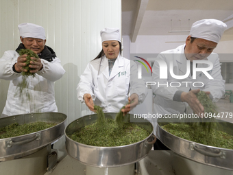 Workers are making tea at a tea processing workshop in Yichang, China, on January 27, 2024. (