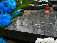 In Lviv, Ukraine, on January 29, 2024, the grave of Ihor Loskyi, who participated in the Battle of Kruty, is being honored at the Lychakiv C...