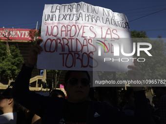 Members of various animal welfare and anti-speciesist groups are demonstrating outside the Plaza Mexico in Mexico City, rejecting the return...