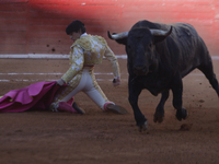 Isaac Fonseca, a bullfighter, is participating in a bullfight at the Plaza Mexico in Mexico City, as members of various animal rights, welfa...