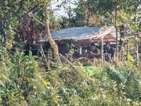Members of the Arakan Rebel Group are being seen from Naikhongchori, a former Myanmar Border Guard Police (BGP) post, after the Myanmar BGP...