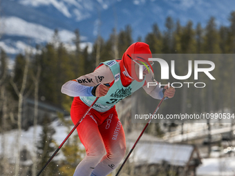 CANMORE, CANADA - FEBRUARY 10Roman Schaad of Switzerland competes during Men's 1.3km Sprint race at the COOP FIS Cross Country World Cup, o...