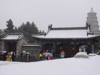 Tourists are braving the snow to queue up to enter the Dayan Pagoda at the Grand Tang Dynasty Everbright City scenic spot in Xi'an, China, o...