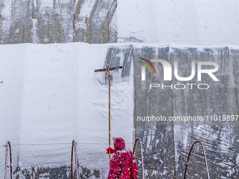 A vegetable farmer is removing snow from a greenhouse at a vegetable planting base in Shuanggou township, in Suqian, China, on February 24,...