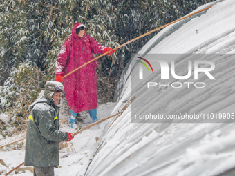 A vegetable farmer is removing snow from a greenhouse at a vegetable planting base in Shuanggou township, in Suqian, China, on February 24,...