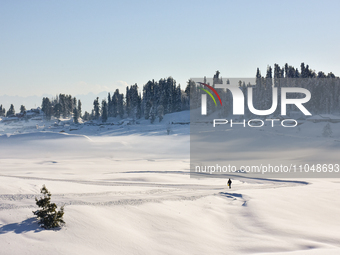 A man is walking through a snow-covered meadow after a day of snowstorms at the Gulmarg Ski Resort in the Baramulla district, Indian Adminis...