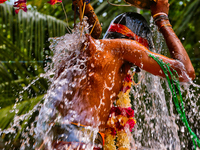A Tamil Hindu devotee is splashing water over himself while performing the para-kavadi ritual, an act of penance during the Amman Ther Thiru...
