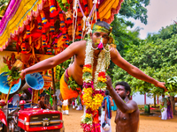 A Tamil Hindu devotee is performing the para-kavadi ritual, an act of penance where he is suspended by hooks driven into his back and legs a...
