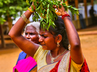 A Tamil Hindu woman is carrying a pooja coconut and margosa leaves atop her head as an act of penance during the Amman Ther Thiruvizha Festi...