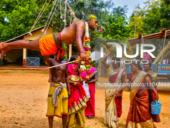 A Tamil Hindu devotee is performing the para-kavadi ritual, an act of penance where he is suspended by hooks driven into his back and legs a...