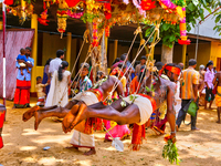 Tamil Hindu devotees are performing the para-kavadi ritual, an act of penance where they are suspended by hooks driven into their backs and...