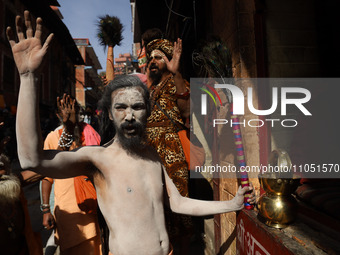 A Naga Baba, or Naked Holy Saint, is chanting ''Har Har Mahadev'' while marching towards the Pashupatinath Temple in Kathmandu, Nepal, on Ma...