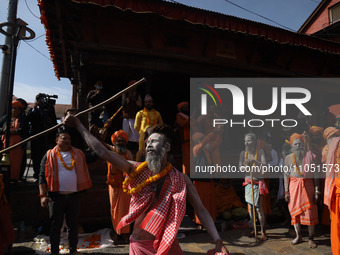 A Naga Baba, or Naked holy saint, is performing a dance with a spinning stick in the premises of the Pashupatinath Temple before entering th...