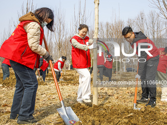 Volunteers are taking part in a tree planting activity in Lianyungang, China, on March 11, 2024. (