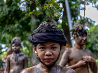 Balinese men are participating in the Mebuug Buugan rite, a mud bathing tradition following Nyepi, or the Day of Silence, in Kedongan Villag...
