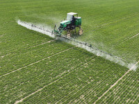 A farmer is driving a machine to spray a field in Zouping, China, on March 13, 2024. (
