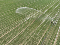 A farmer is driving a machine to spray a field in Zouping, China, on March 13, 2024. (