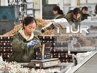Workers are producing drill tail wire products for export overseas in a digital intelligent production workshop at a hardware manufacturing...