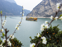 Cargo ships are sailing in the waters of the Xiling Gorge of the Three Gorges of the Yangtze River in Yichang, Hubei Province, China, on Mar...
