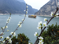 Cargo ships are sailing in the waters of the Xiling Gorge of the Three Gorges of the Yangtze River in Yichang, Hubei Province, China, on Mar...
