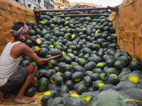 A person is offloading watermelons from a truck inside a wholesale market during Ramadan in Kolkata, India, on March 17, 2023. (