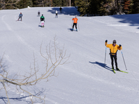 Skiers are warming up before the start of the 50KM mass start race on day two of the California Gold Rush Festival at Royal Gorge Cross Coun...