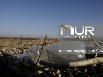 A bottle is lying in the dried-up Laguna de Zumpango in the State of Mexico, where weeds and dried lilies have accumulated and have been cat...