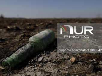 A bottle is lying in the dried-up Laguna de Zumpango in the State of Mexico, where weeds and dried lilies have accumulated and have been cat...