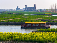 Tourists are taking a boat ride to see the blooming rapeseed flowers in Xinghua, Jiangsu Province, China, on March 21, 2024. (