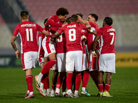 Malta national soccer team players are celebrating their teammate Matthew Guillaimer's (hidden) 1-1 goal during the friendly international s...