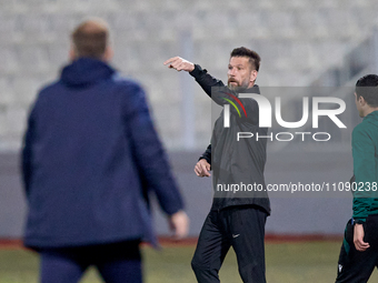 Matjaz Kek, the head coach of the Slovenia national soccer team, is gesturing during the friendly international soccer match between Malta a...