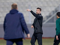 Matjaz Kek, the head coach of the Slovenia national soccer team, is gesturing during the friendly international soccer match between Malta a...