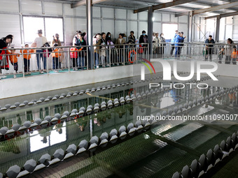 People are visiting the tap water production system at Beijiao Water Plant in Zaozhuang, China, on March 22, 2024. (