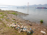 Debris is floating downstream, brought by the 2023 Yangtze River flood, near the Linjiangxi Bridge in Yichang on the Yangtze River in Yichan...