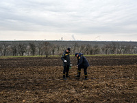 Employees of the State Emergency Service, forestry, and the Red Cross are planting a young forest in Krutoiarivske forestry, in Zaporizhzhia...