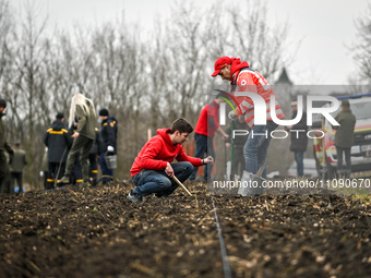 Employees of the State Emergency Service, forestry, and the Red Cross are planting a young forest in Krutoiarivske forestry, in Zaporizhzhia...