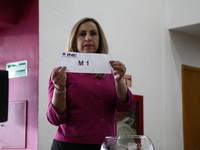 A hostess is showing the role of the electoral raffle during the Public Session of the Table of Representatives of the Presidential Debates,...