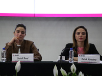 Electoral advisors Dania Paola Ravel and Carla Astrid Humphrey are participating in the Public Session of the Table of Representatives of th...