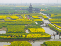 Tourists are taking a boat ride to see the blooming rapeseed flowers in Xinghua, Jiangsu Province, East China, on March 26, 2024. (