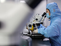 A researcher is examining a cow oocyte under a microscope in a laboratory at a biotechnology company in Binzhou, East China's Shandong provi...