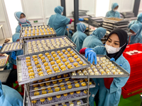 Employees are making cookies at the J&C Cookies factory in Bandung, Indonesia, on March 27, 2024. The cookie manufacturer, J&C Cookies, is p...