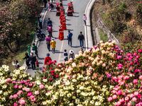 Tourists are enjoying blooming rhododendrons at a rhododendron scenic spot in Bijie, Southwest China's Guizhou province, on March 27, 2024....
