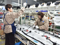 Workers are working on a production line of wiring harness products for complete vehicles at a workshop of a technology company in Fuyang, C...